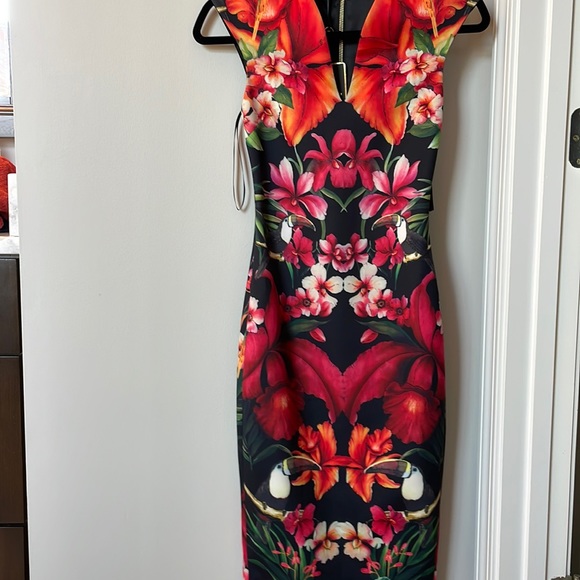 Ted Baker toucan dress - Picture 2 of 9